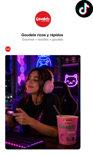 Perfil de TikTok @goudelschile