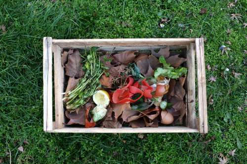 RESIDUOS ORGÁNICOS Y COMPOSTERAS