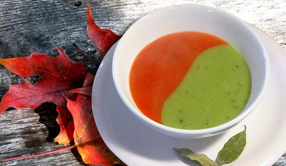 Sopa Bicolor