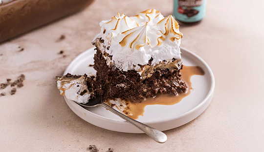 TRES LECHES DE CHOCOLATE