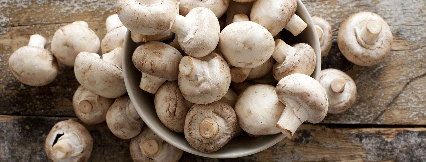 ¿CÓMO LIMPIAR CHAMPIÑONES?