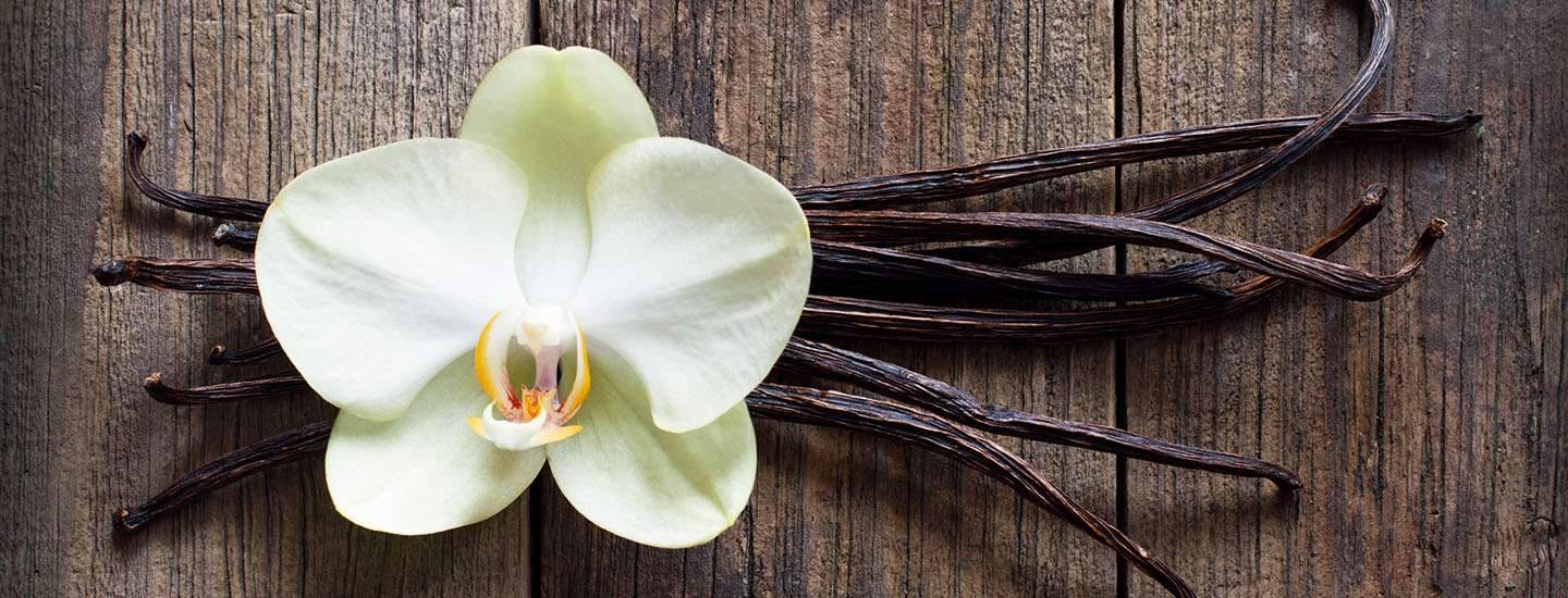 ¿CÓMO SACAR LAS SEMILLAS A UNA VAINA DE VAINILLA?