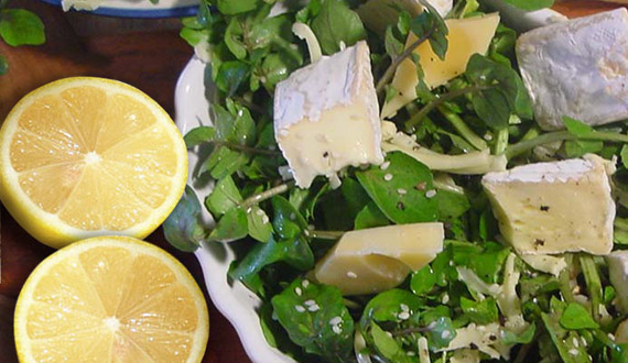 Ensalada de Berros Receta